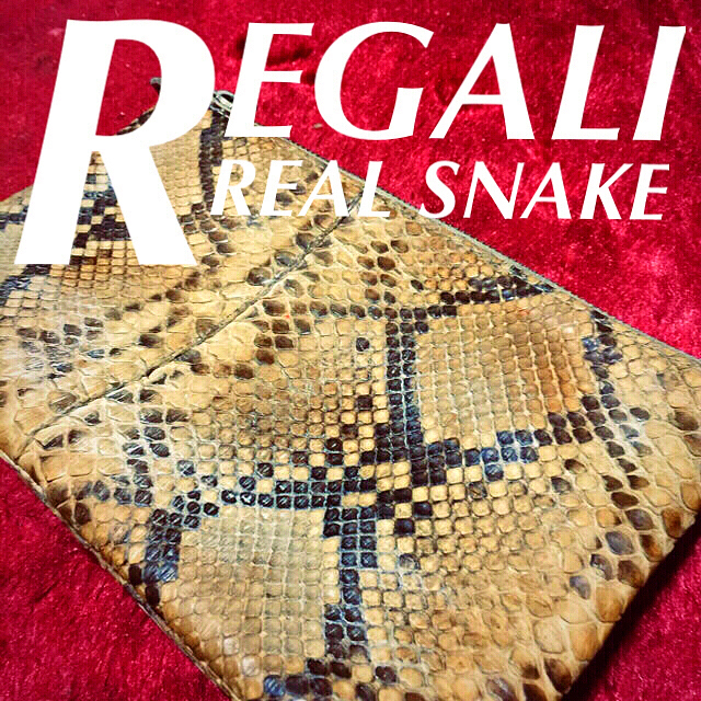 寸法約240×140×30mm❇️【REGALI】本物だけが出せるアジ☆‼️