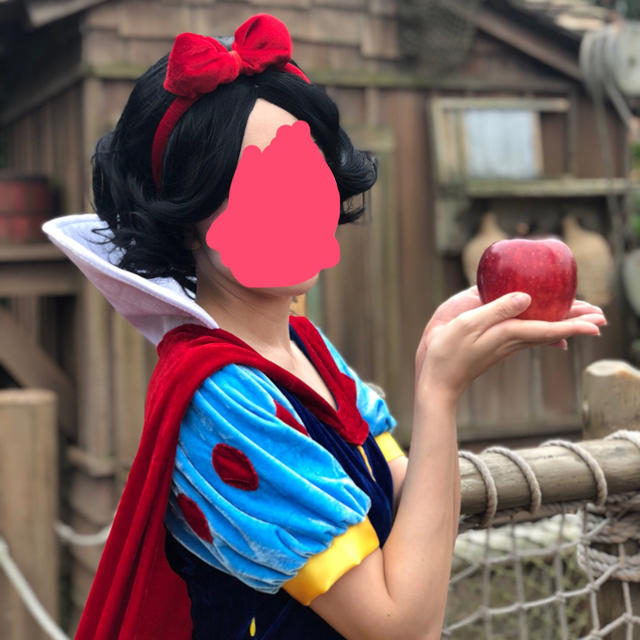 Disney 白雪姫コスプレ ウィッグセット 大人の通販 By Lycoris S Shop ディズニーならラクマ