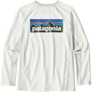 パタゴニア(patagonia)のパタゴニア　2018年購入(水着)