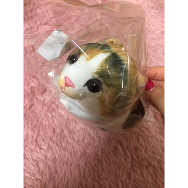 FELISSIMO(フェリシモ)のフェリシモ もっちり 子猫ポーチ レディースのファッション小物(ポーチ)の商品写真