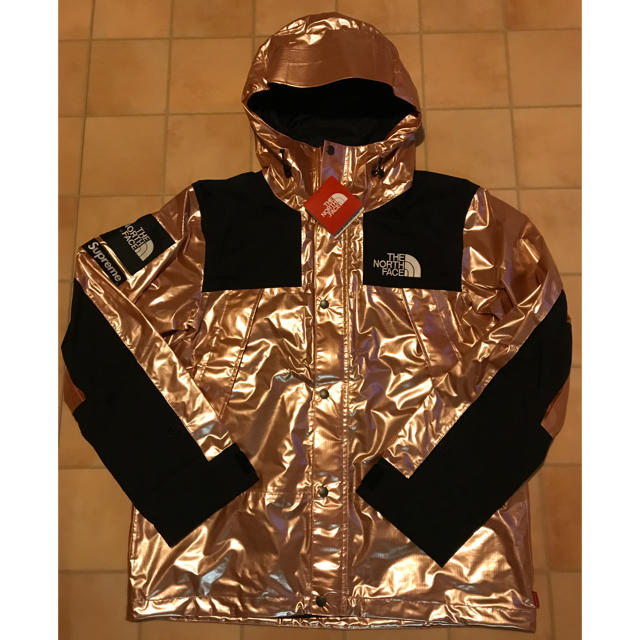 【新品】Supreme TNF Metallic Mountain Parka