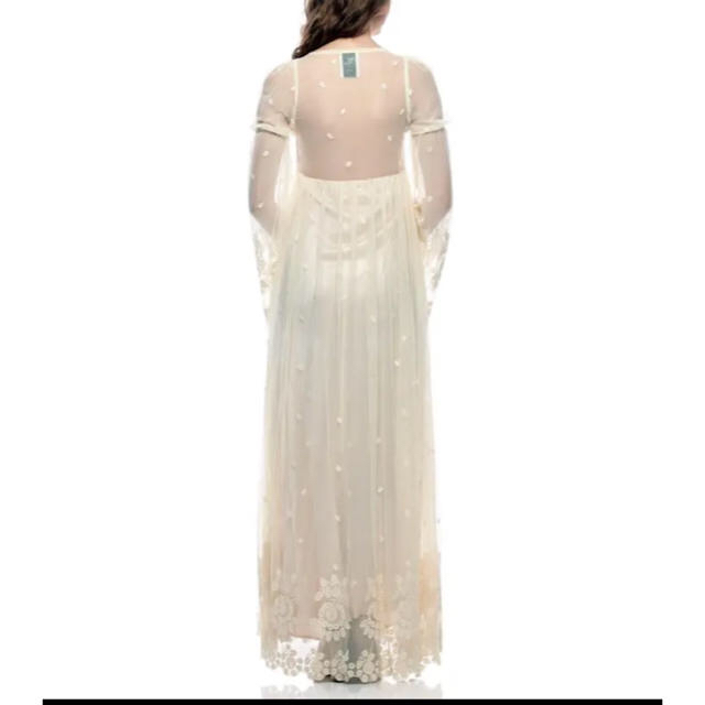 オーガンジー ロングドレス レディースのフォーマル/ドレス(ロングドレス)の商品写真