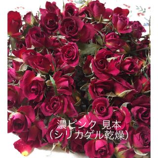 ミニバラ 濃ピンク ドライフラワー★シリカゲル乾燥20輪セット★おまけ付き★薔薇(ドライフラワー)