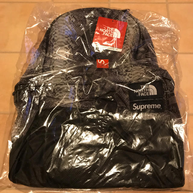 Supreme(シュプリーム)の【新品】Supreme The North Face Day Pack メンズのバッグ(バッグパック/リュック)の商品写真