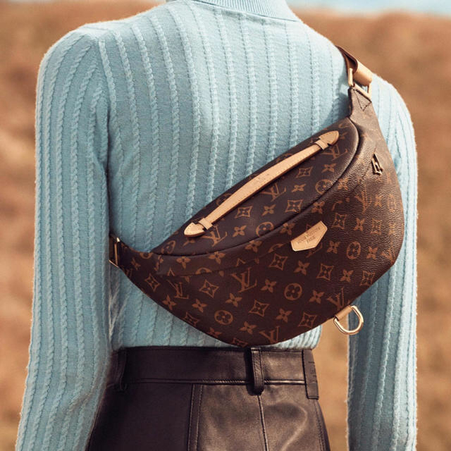 LOUIS VUITTON(ルイヴィトン)のルイヴィトン LOUIS VUITTON バムバッグ レディースのバッグ(ショルダーバッグ)の商品写真