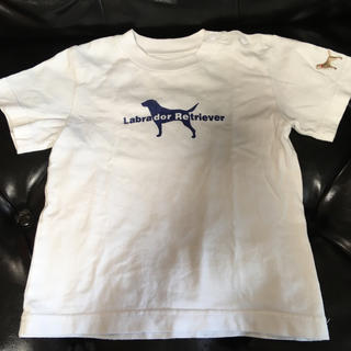 ラブラドールリトリーバー(Labrador Retriever)のlabrador  retriever Tシャツ サイズ90(Tシャツ/カットソー)
