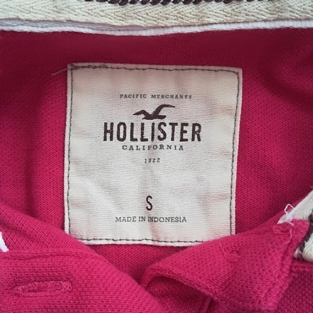 Hollister(ホリスター)のHOLLISTER レディースポロシャツ レディースのトップス(ポロシャツ)の商品写真