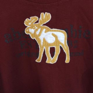 アバクロンビーアンドフィッチ(Abercrombie&Fitch)のアバクロ ロンT エンジ(Tシャツ/カットソー(七分/長袖))