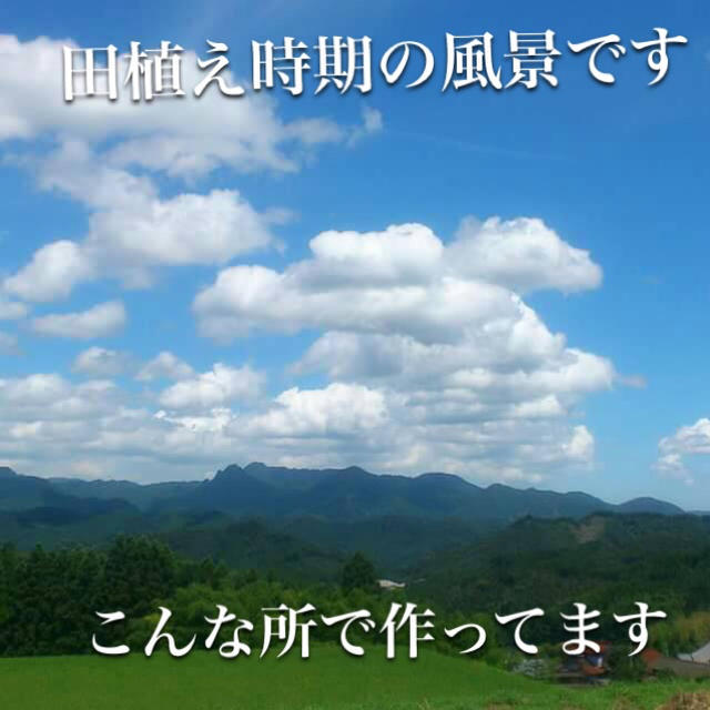 ミント様専用 25キロ分精米小分けなし 食品/飲料/酒の食品(米/穀物)の商品写真