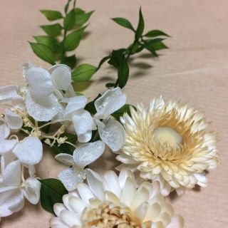 ドライフラワー 花材少量セット(ドライフラワー)