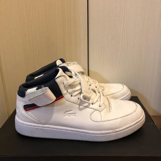 ラコステ(LACOSTE)のラコステ ハイカットスニーカー 25.5㎝(スニーカー)