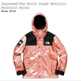 シュプリーム(Supreme)のsupreme the north face mountain parka M(マウンテンパーカー)