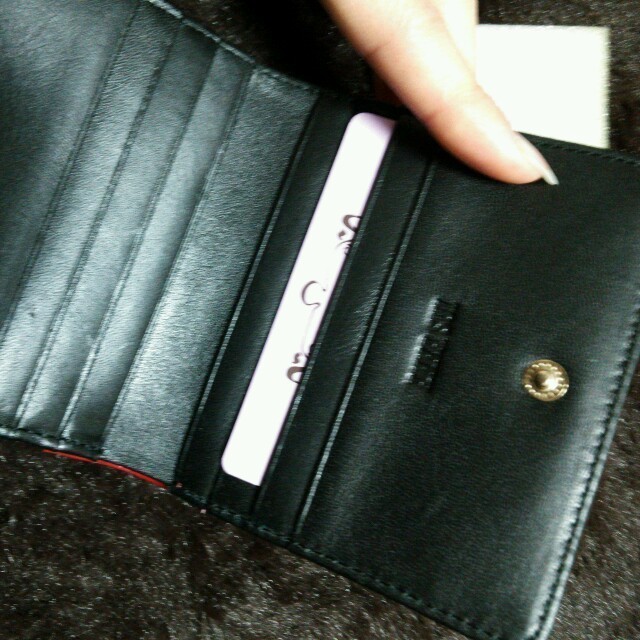 ANNA SUI(アナスイ)のANNA SUI　財布 レディースのファッション小物(財布)の商品写真