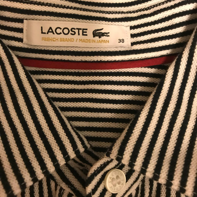 LACOSTE(ラコステ)のラコステ ストライプポロシャツ レディースのトップス(シャツ/ブラウス(長袖/七分))の商品写真