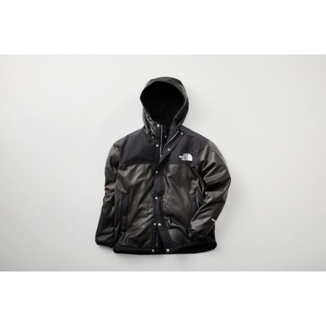 THE NORTH FACE - THE NORTH FACE GTX pamir jacket パミール ジャケ