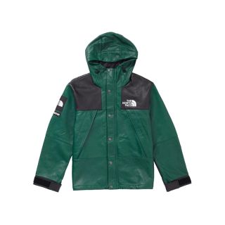 シュプリーム(Supreme)のsupreme the north face マウンテンパーカー(マウンテンパーカー)