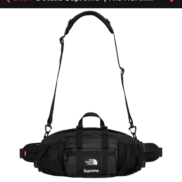 supreme north Leather Mountain Waist Bag