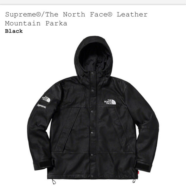 優れた品質 - Supreme supreme Mountain leather Face North The マウンテンパーカー