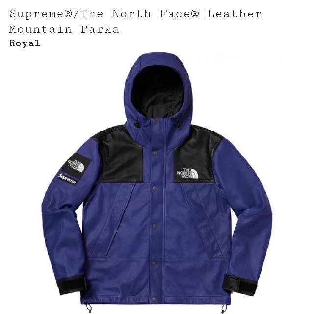 Supreme/The North Face