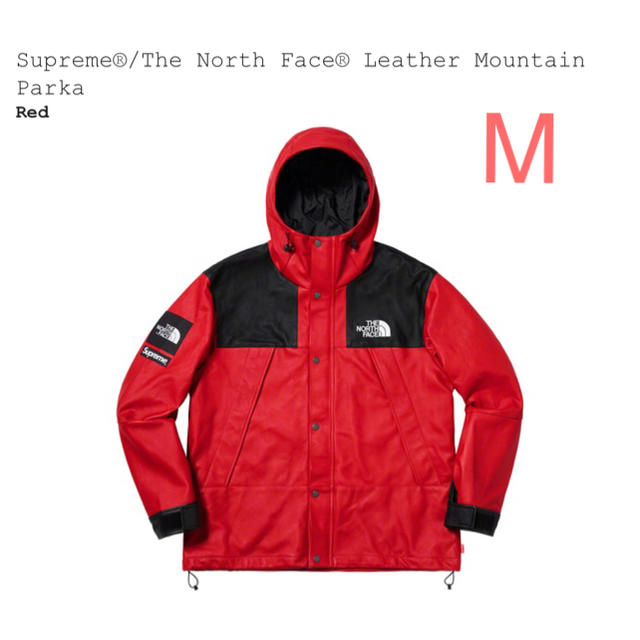 Supreme NorthFace Leather Mountain Parka