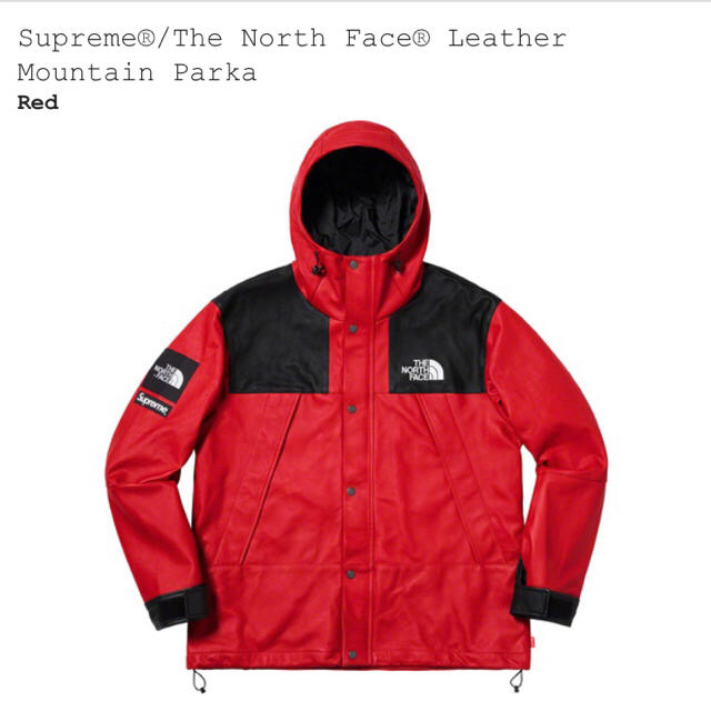 Supreme(シュプリーム)のSupreme The North Face Leather Mountain メンズのジャケット/アウター(マウンテンパーカー)の商品写真