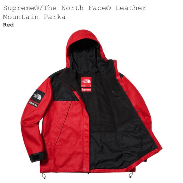 Supreme(シュプリーム)のSupreme The North Face Leather Mountain メンズのジャケット/アウター(マウンテンパーカー)の商品写真