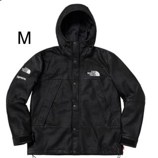 シュプリーム(Supreme)のM The North Face Leather Mountain Parka(マウンテンパーカー)