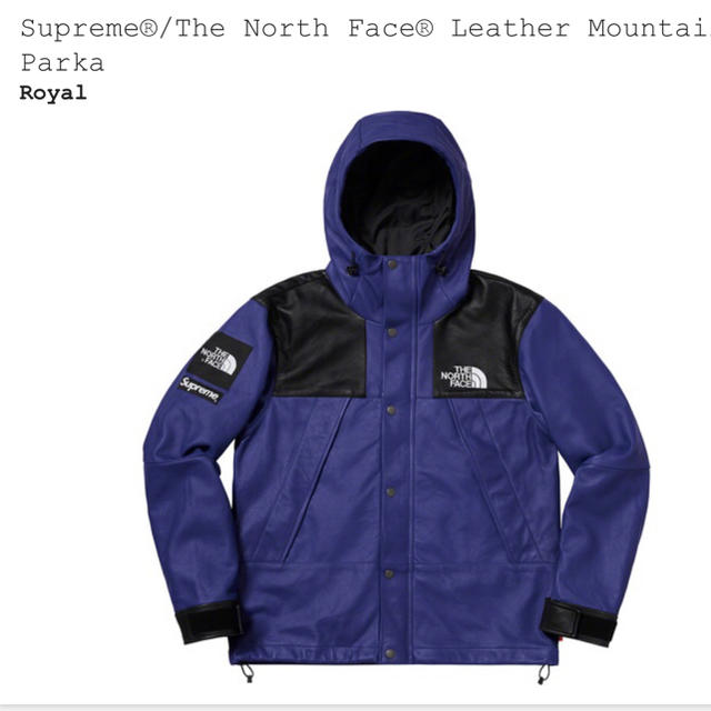 Supreme × The North Face Leather Mountai