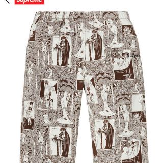 シュプリーム(Supreme)のSalome skate pants Brown S(その他)