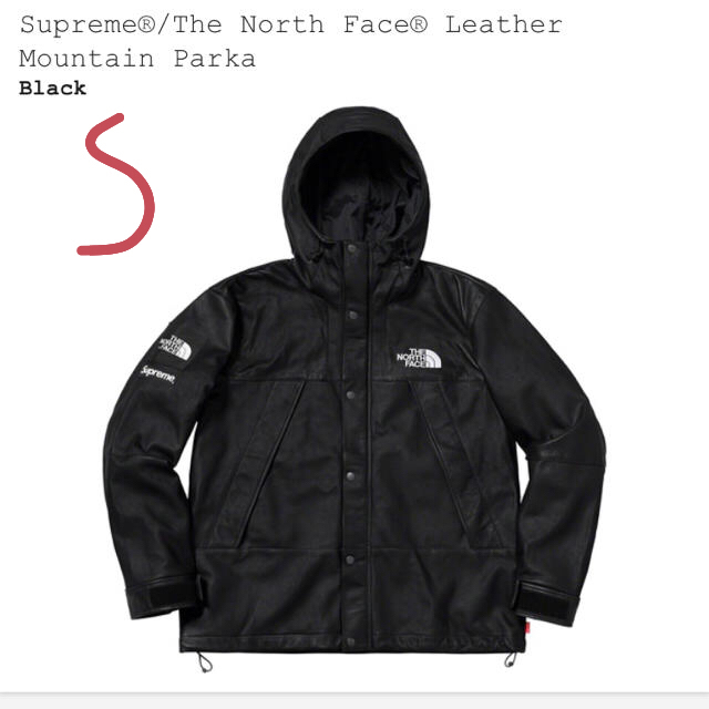 supreme the north face