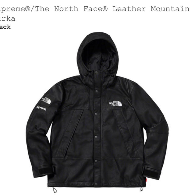 supreme the north face mountain parkaジャケット/アウター