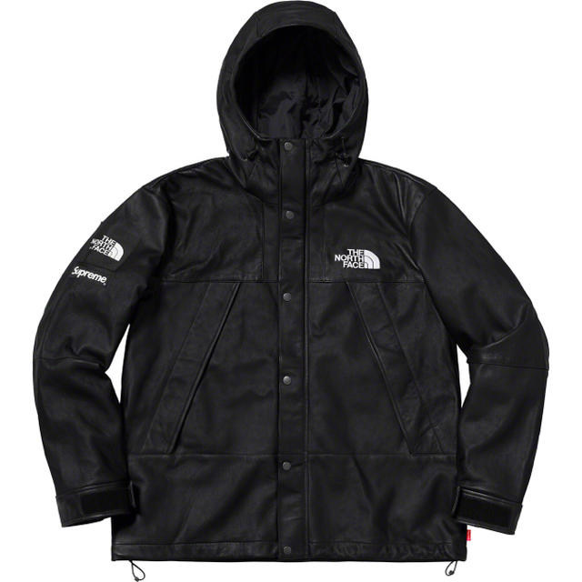 Supreme North Face LeatherMountainParkaジャケット/アウター