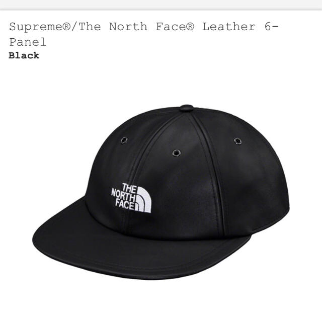 Supreme®/︎The North Face®︎ Leather cap