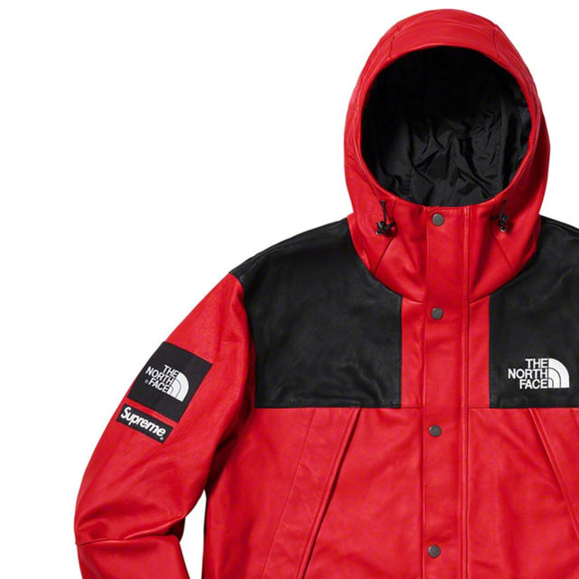 Lサイズ Supreme The North Face レザーマウンテン