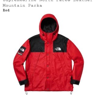 シュプリーム(Supreme)のsupreme × the north face
(マウンテンパーカー)