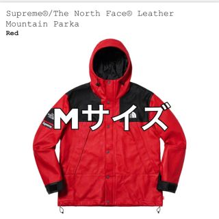 シュプリーム(Supreme)のsupreme  the north face(マウンテンパーカー)