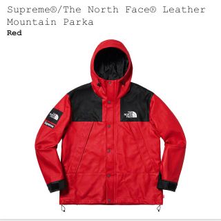 シュプリーム(Supreme)のsupreme The North Face Mountain Parke XL(マウンテンパーカー)