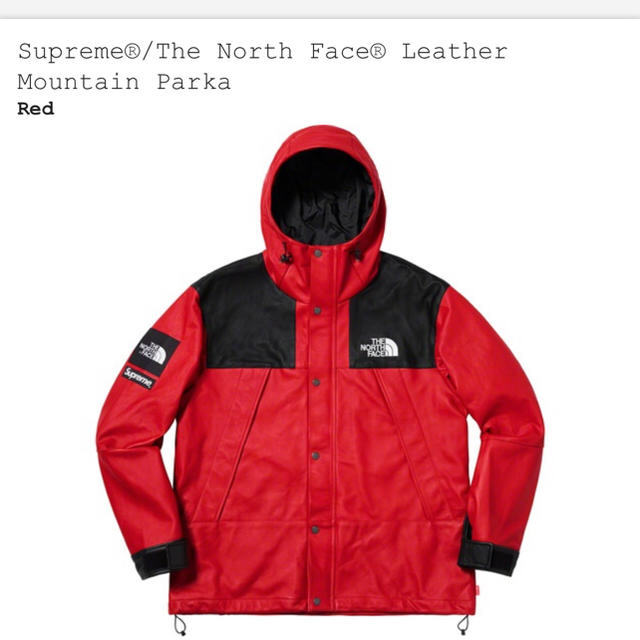 Supreme(シュプリーム)のLサイズ 赤 Supreme The North Face Leather メンズのジャケット/アウター(マウンテンパーカー)の商品写真