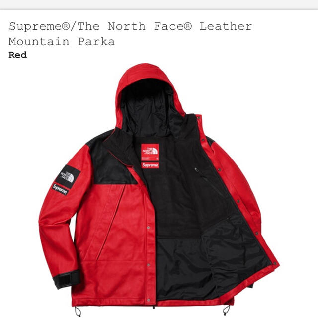 Supreme(シュプリーム)のLサイズ 赤 Supreme The North Face Leather メンズのジャケット/アウター(マウンテンパーカー)の商品写真