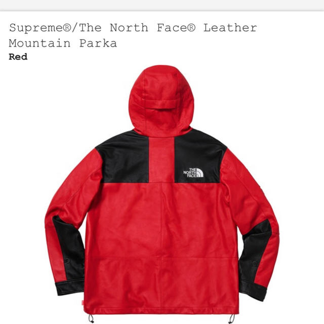 Supreme(シュプリーム)のLサイズ 赤 Supreme The North Face Leather メンズのジャケット/アウター(マウンテンパーカー)の商品写真