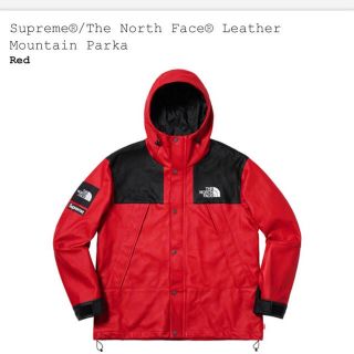 シュプリーム(Supreme)のLサイズ 赤 Supreme The North Face Leather(マウンテンパーカー)