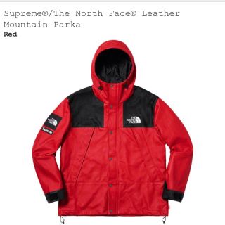 シュプリーム(Supreme)のSupreme the north face leather mountain (マウンテンパーカー)