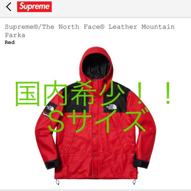 Supreme(シュプリーム)のSupreme The North Face Leather Mountain メンズのジャケット/アウター(マウンテンパーカー)の商品写真