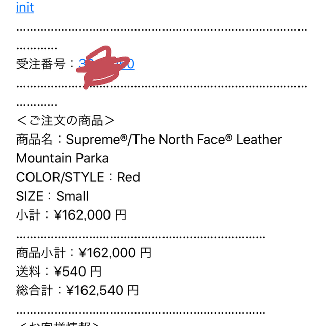 Supreme(シュプリーム)のSupreme The North Face Leather Mountain メンズのジャケット/アウター(マウンテンパーカー)の商品写真
