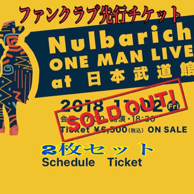 Nulbarich 武道館チケット 2枚チケット