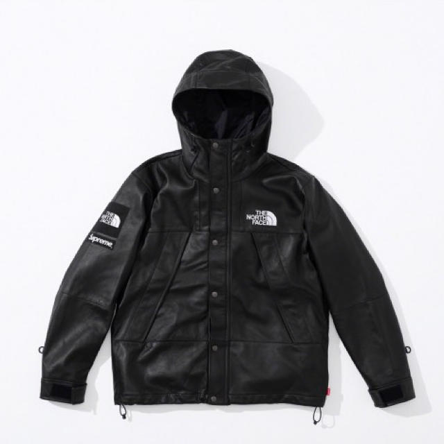 Supreme - The North Face® Leather Mountain Parka