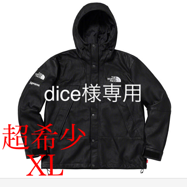 Supreme/North Leather Mountain Parka XL 売れ筋オンラインストア