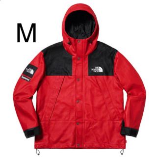 シュプリーム(Supreme)のSupreme TheNorthFaceLeatherMountainParka(マウンテンパーカー)