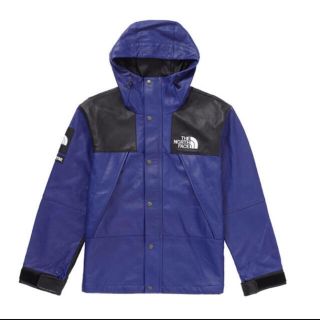 シュプリーム(Supreme)のsupreme the north  face(マウンテンパーカー)