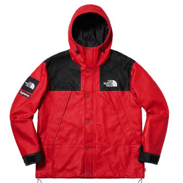 Supreme(シュプリーム)の【最終値下げ】Supreme ×The North Face マウンテンパーカー メンズのジャケット/アウター(マウンテンパーカー)の商品写真